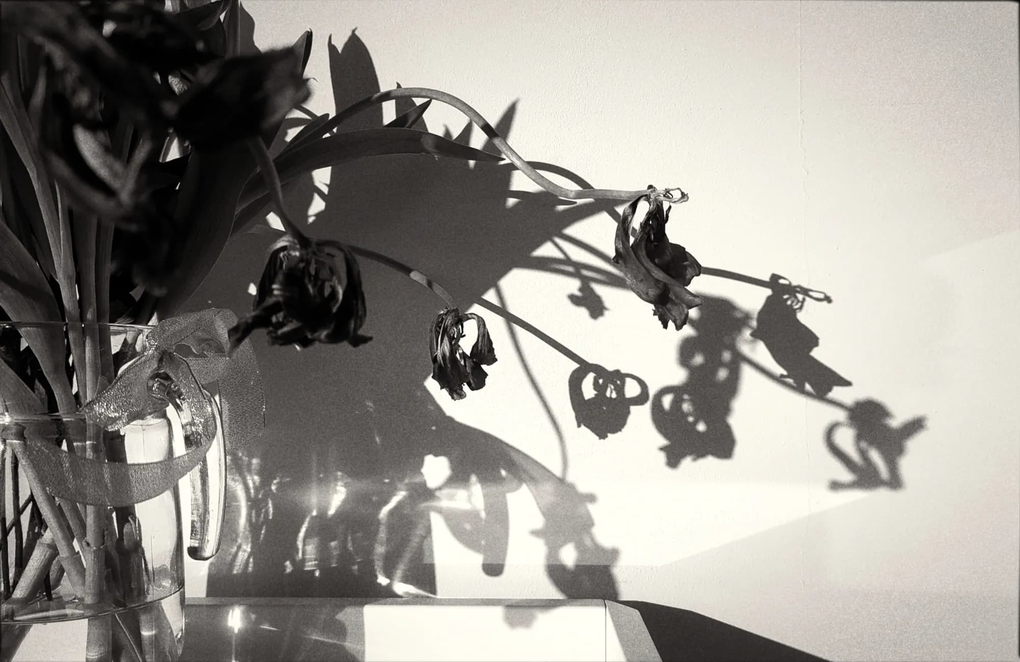 Bonework of the bloom