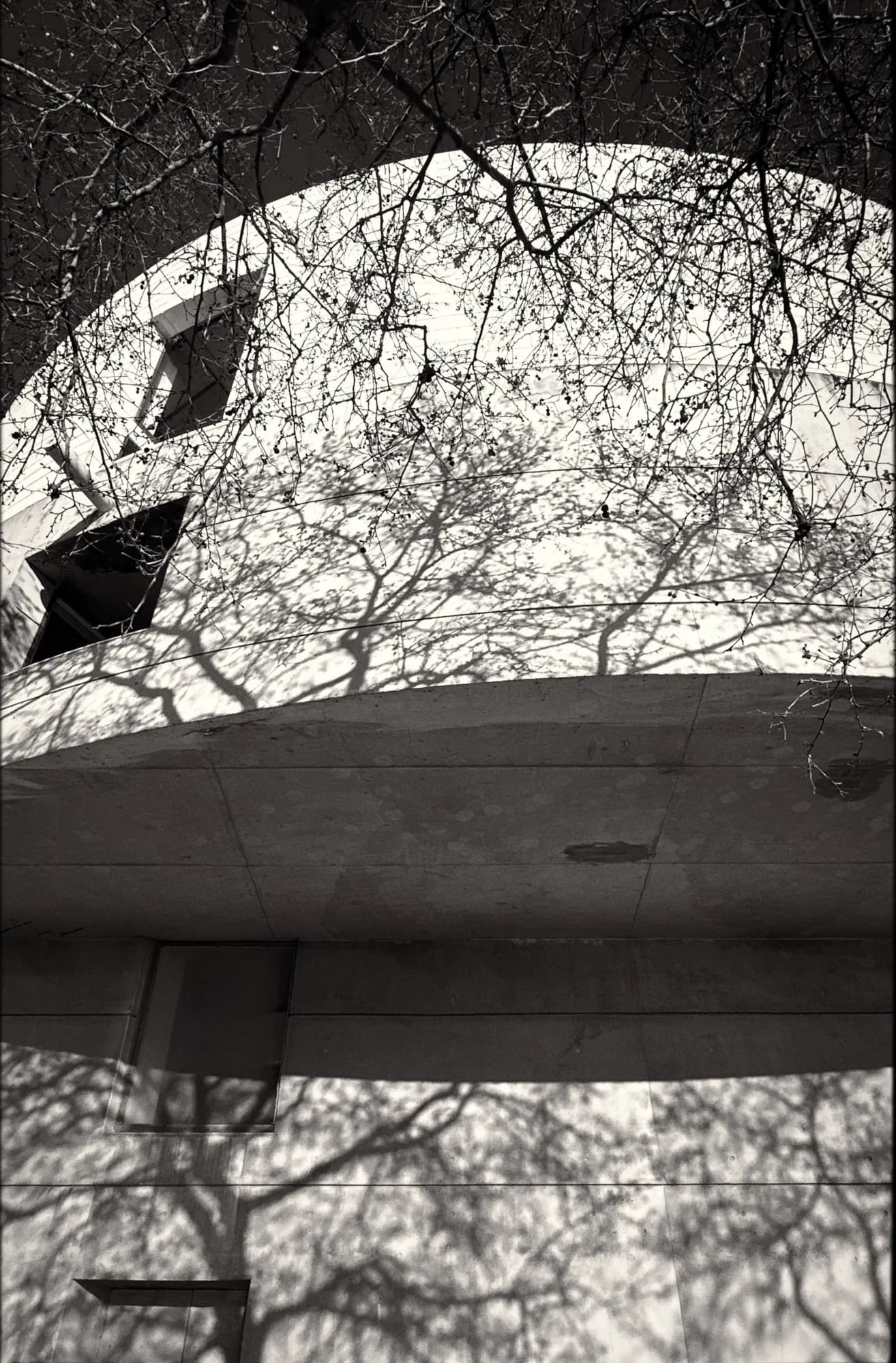 Double treebranches